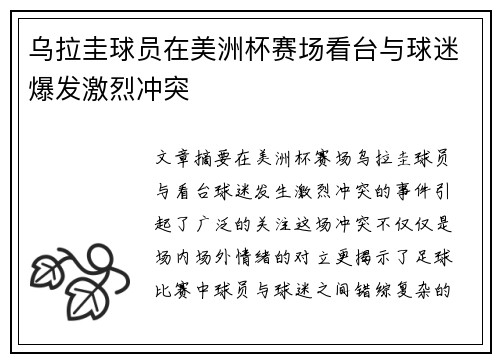 乌拉圭球员在美洲杯赛场看台与球迷爆发激烈冲突